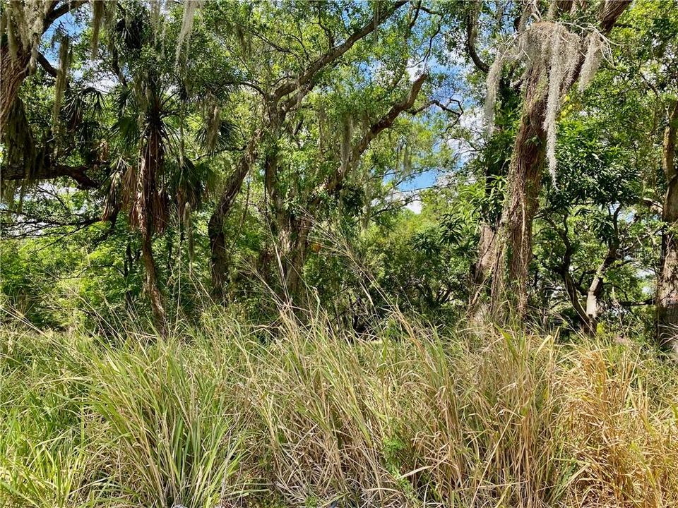 Недавно продано: $6,000 (0.11 acres)