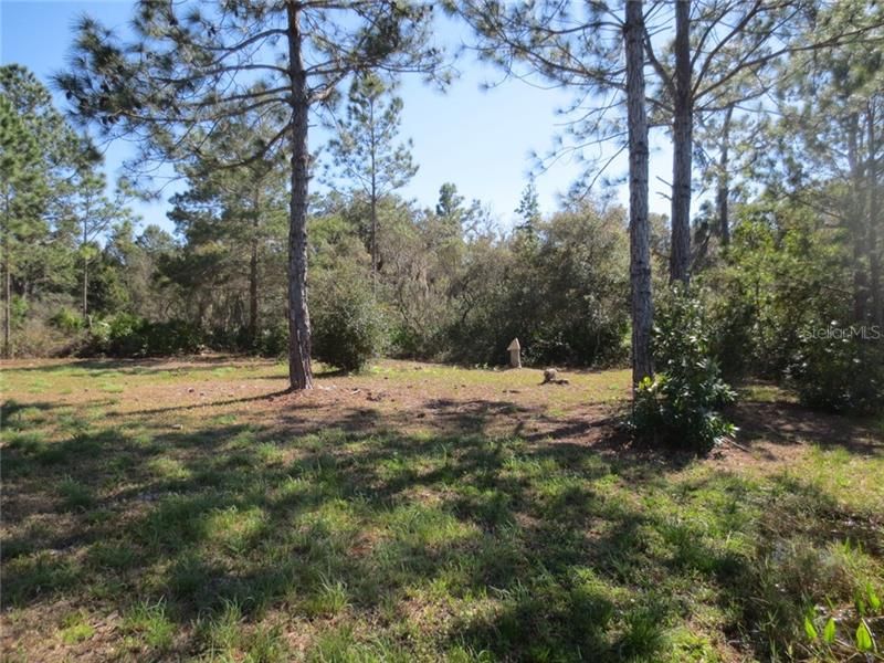 Recently Sold: $59,800 (0.61 acres)