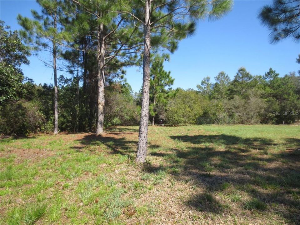 Recently Sold: $59,800 (0.61 acres)