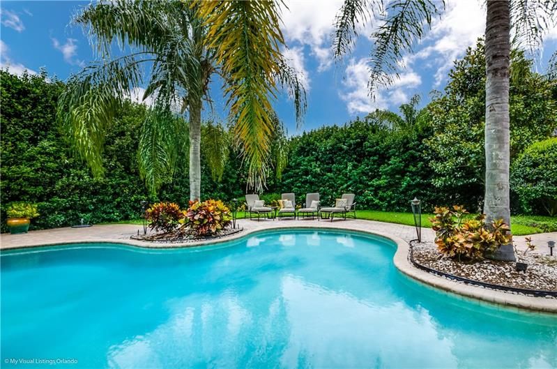 Resort-style Pool in a very private back yard