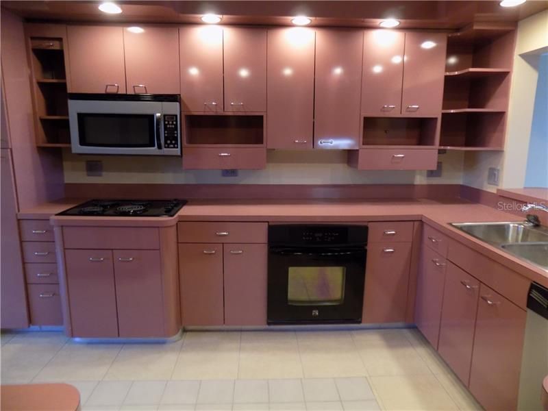 Modern kitchen with refrigerator, microwave, stove, oven, dishwasher, & disposal