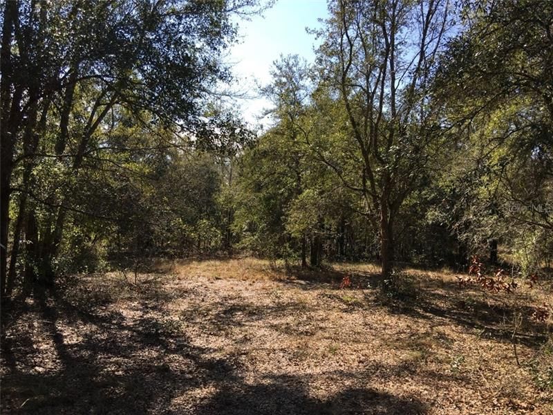 Recently Sold: $145,000 (10.00 acres)