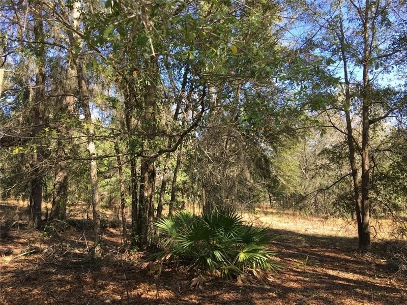 Recently Sold: $145,000 (10.00 acres)