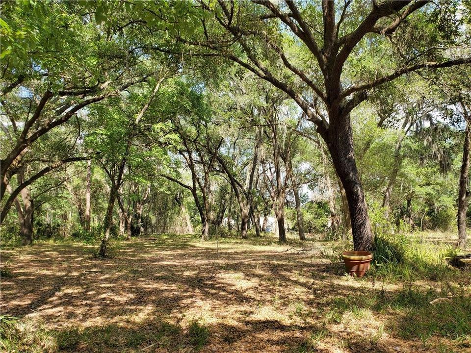 Recently Sold: $359,999 (2.34 acres)