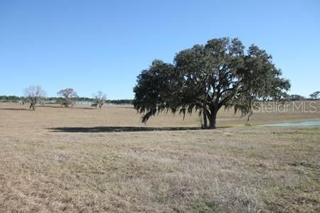 Recently Sold: $62,000 (2.56 acres)