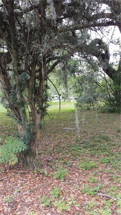 最近售出: $149,900 (0.49 acres)