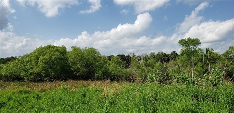 Recently Sold: $178,900 (46.37 acres)