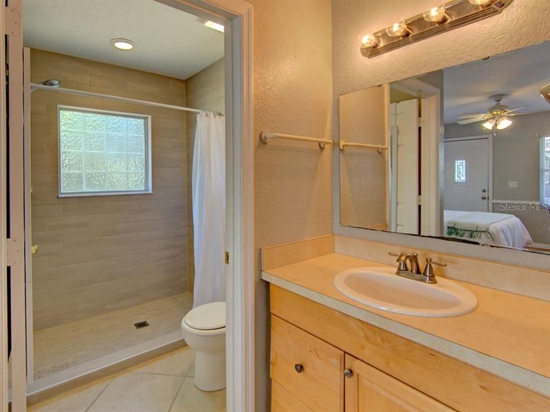 In-Law Suite Bathroom