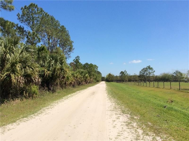 View looking toward Pell Rd. Property is on the left.