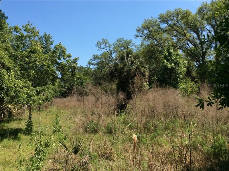 Recently Sold: $120,000 (10.00 acres)