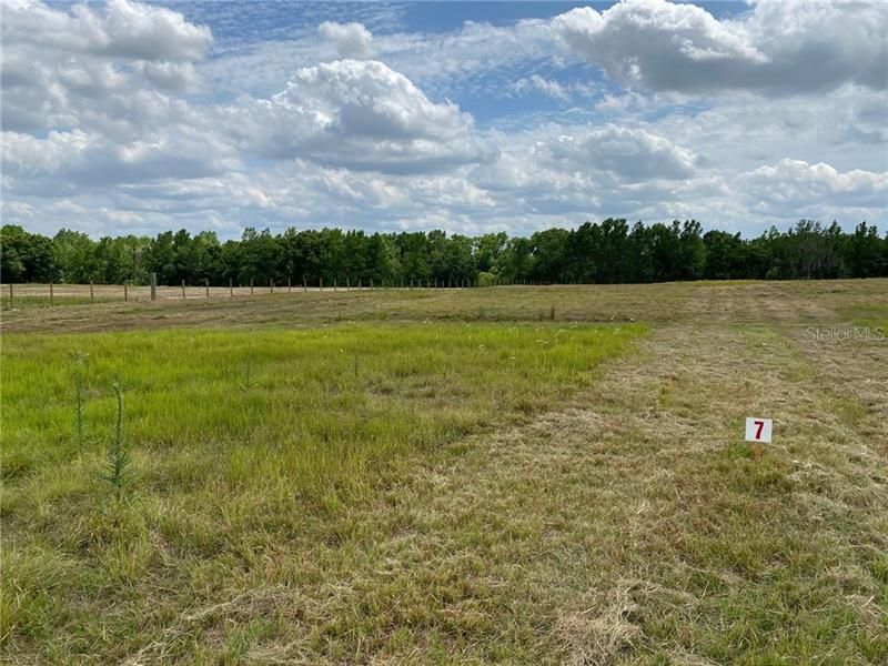 Recently Sold: $59,950 (5.83 acres)