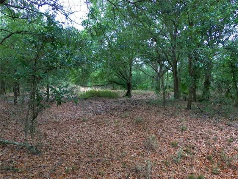 Recently Sold: $119,900 (5.00 acres)