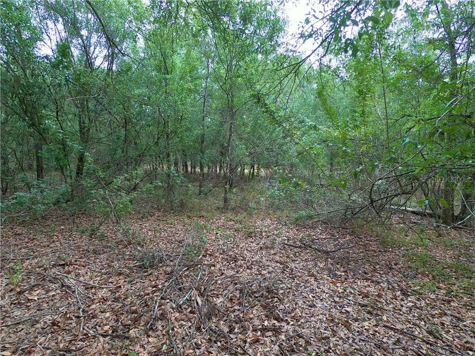 Recently Sold: $119,900 (5.00 acres)