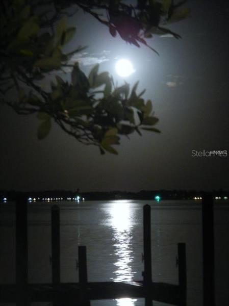 View of the moon over the bay from the dock!
