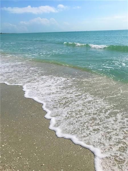 Warm waters of the Gulf of Mexico!