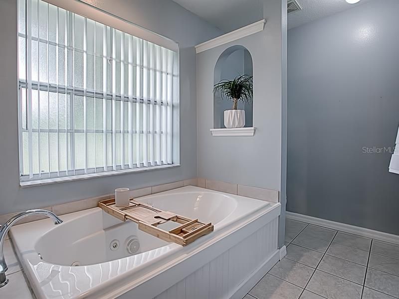 master bathroom with jetted tub