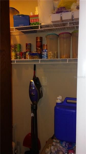 Pantry closer in kitchen
