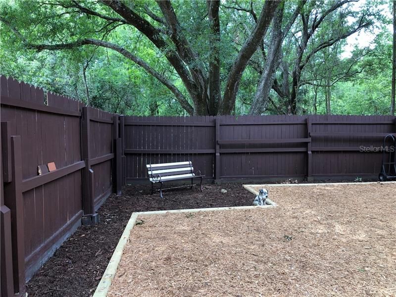 Large Fenced In Backyard