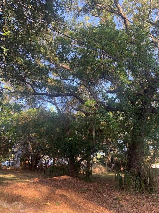 Vendido Recientemente: $22,900 (0.11 acres)