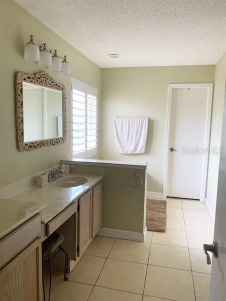 Double Vanity and tub in Master Bath. Door leads to Walk in Closet with Organizer.