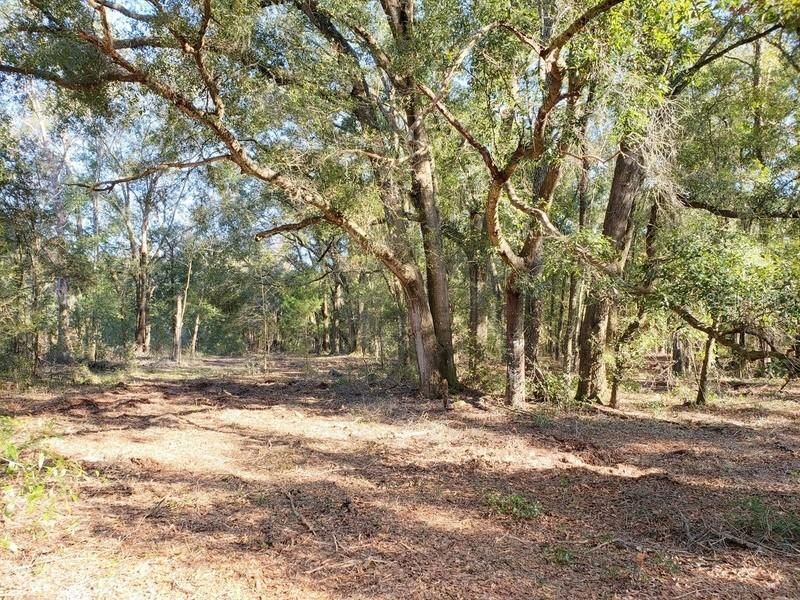 Recently Sold: $19,900 (2.70 acres)