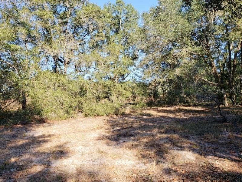 Recently Sold: $19,900 (2.70 acres)