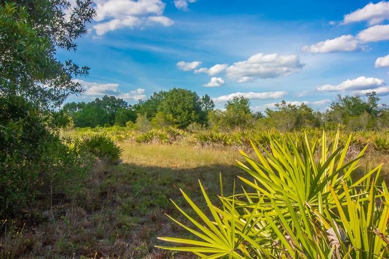 Recently Sold: $69,900 (5.23 acres)