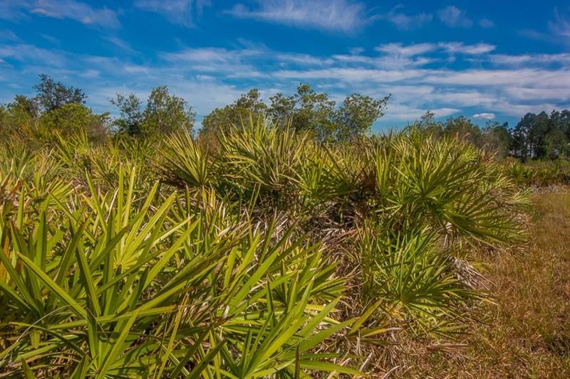 Недавно продано: $69,900 (5.23 acres)