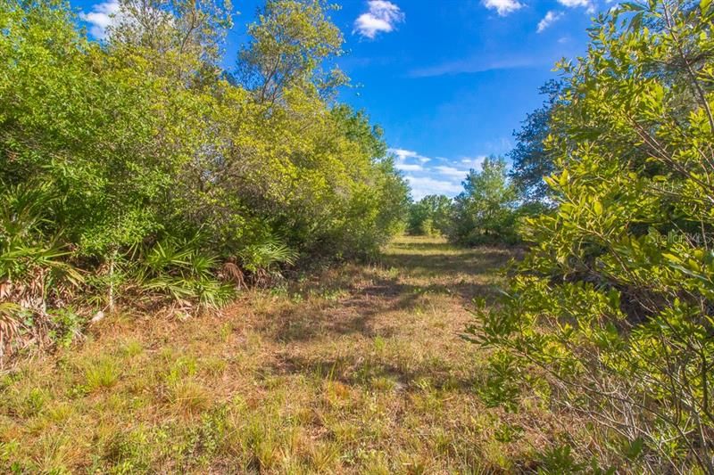 Recently Sold: $69,900 (5.23 acres)