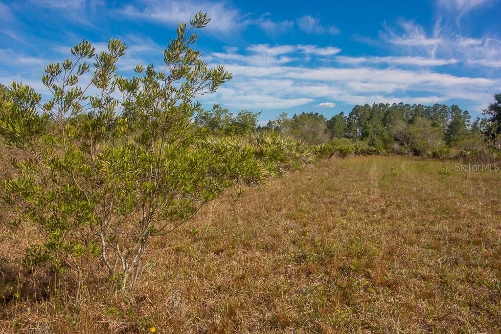 Recently Sold: $69,900 (5.23 acres)