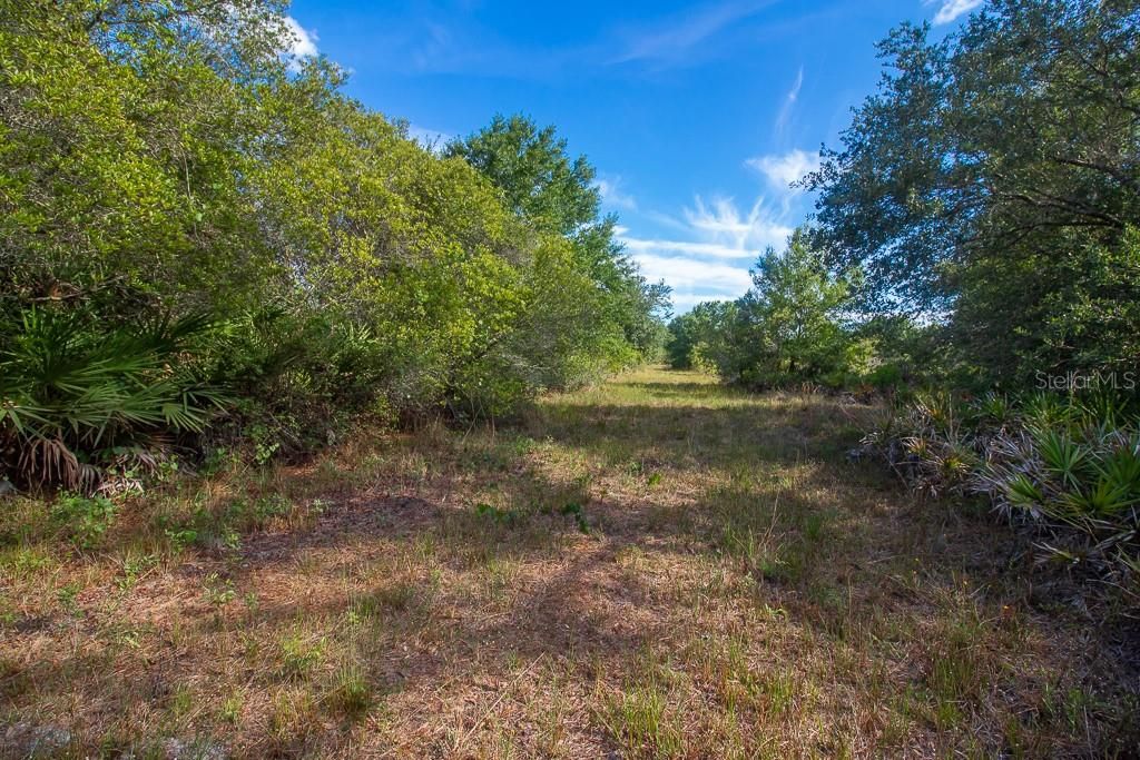 Vendido Recientemente: $69,900 (5.23 acres)