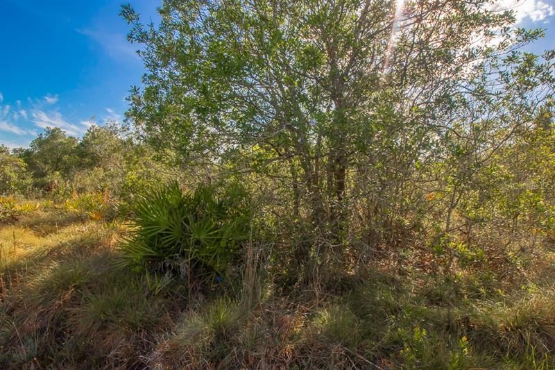 Vendido Recientemente: $69,900 (5.23 acres)