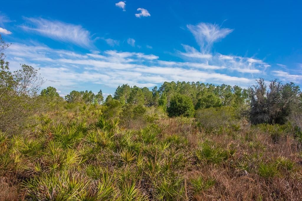 Недавно продано: $69,900 (5.23 acres)