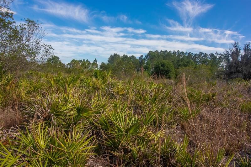 Недавно продано: $69,900 (5.23 acres)