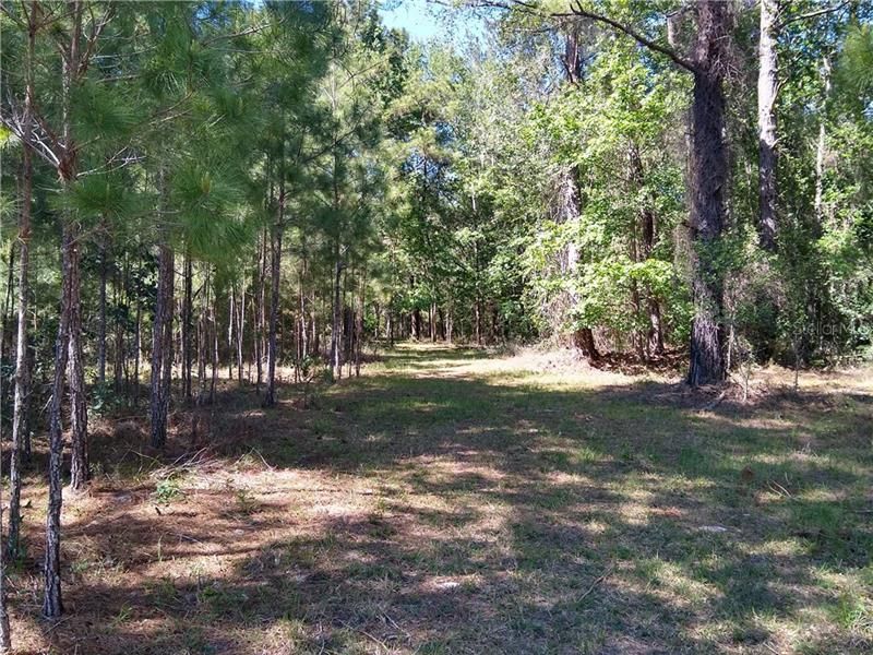 Recently Sold: $43,500 (3.77 acres)