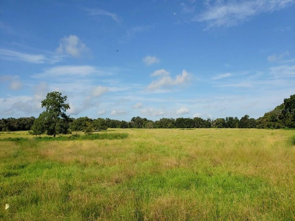 Recently Sold: $1,440,000 (120.00 acres)