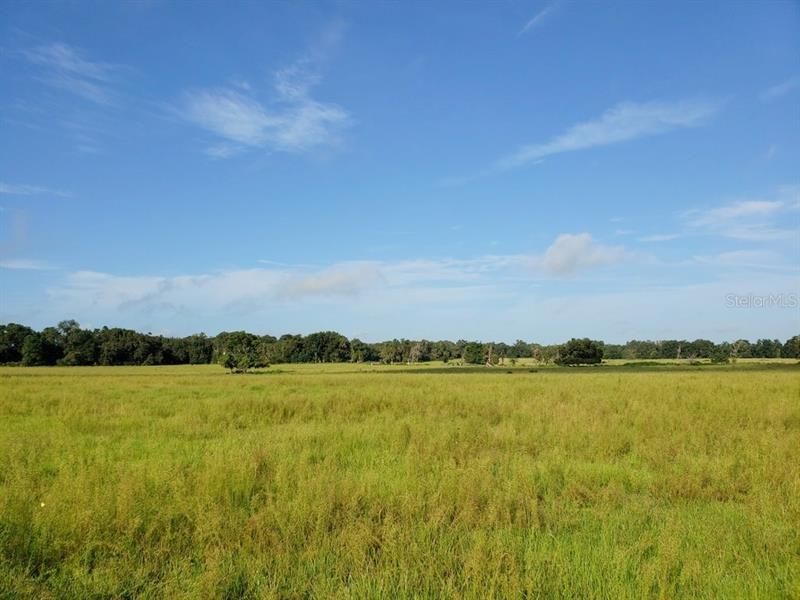 Recently Sold: $1,440,000 (120.00 acres)