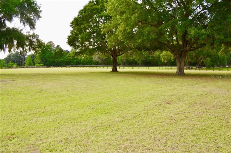 Large Pasture