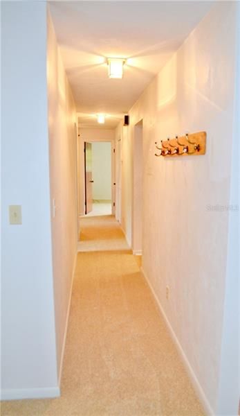 Hallway to bedrooms and bathrooms