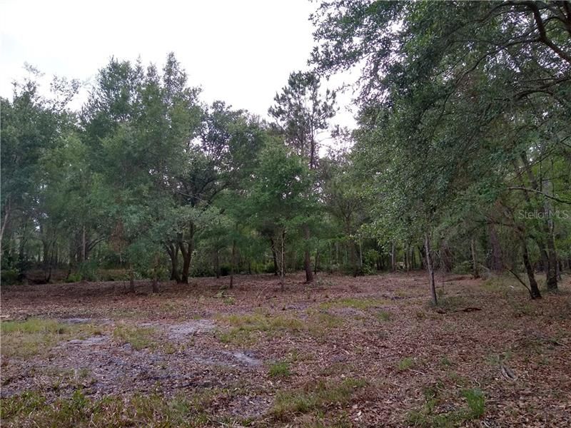 Recently Sold: $49,000 (3.72 acres)