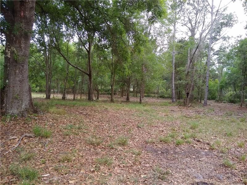 Recently Sold: $49,000 (3.72 acres)