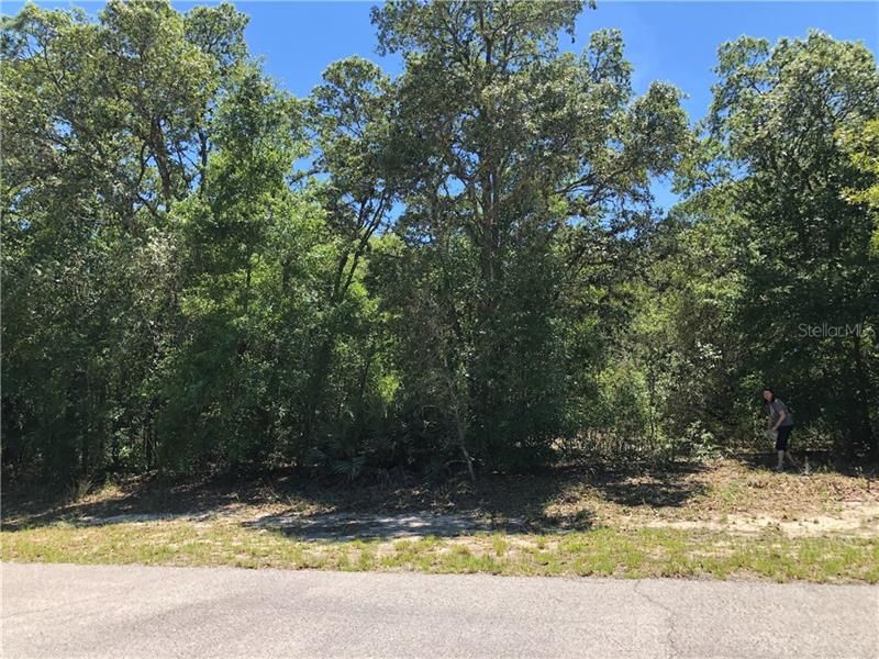 Recently Sold: $20,000 (1.06 acres)