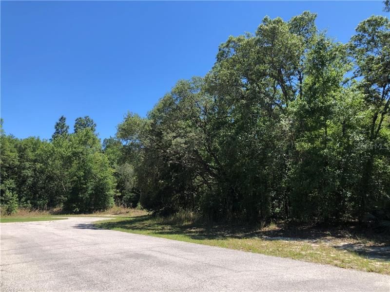 Recently Sold: $20,000 (1.06 acres)