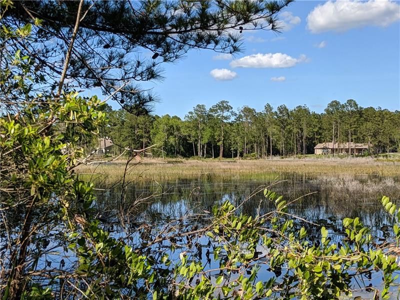 Lake Buckhorn with access right down the country lane.