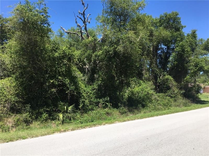 Recently Sold: $25,000 (0.47 acres)