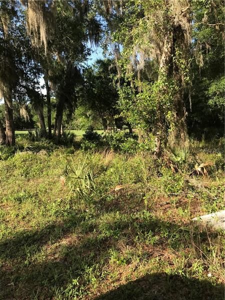Recently Sold: $19,500 (1.01 acres)
