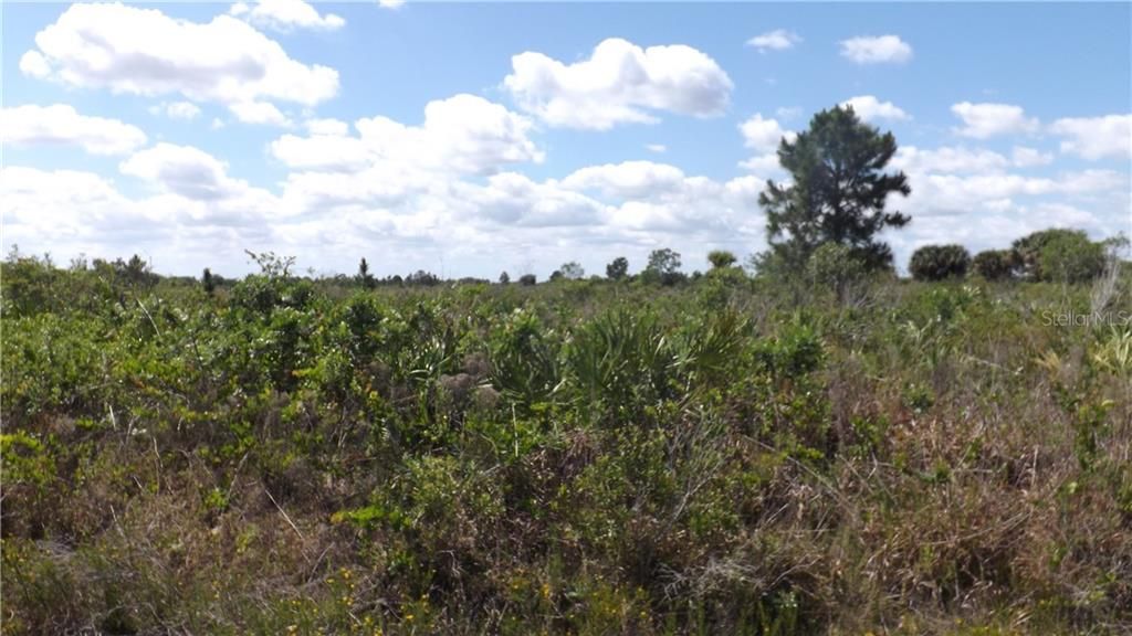 Recently Sold: $7,500 (1.25 acres)