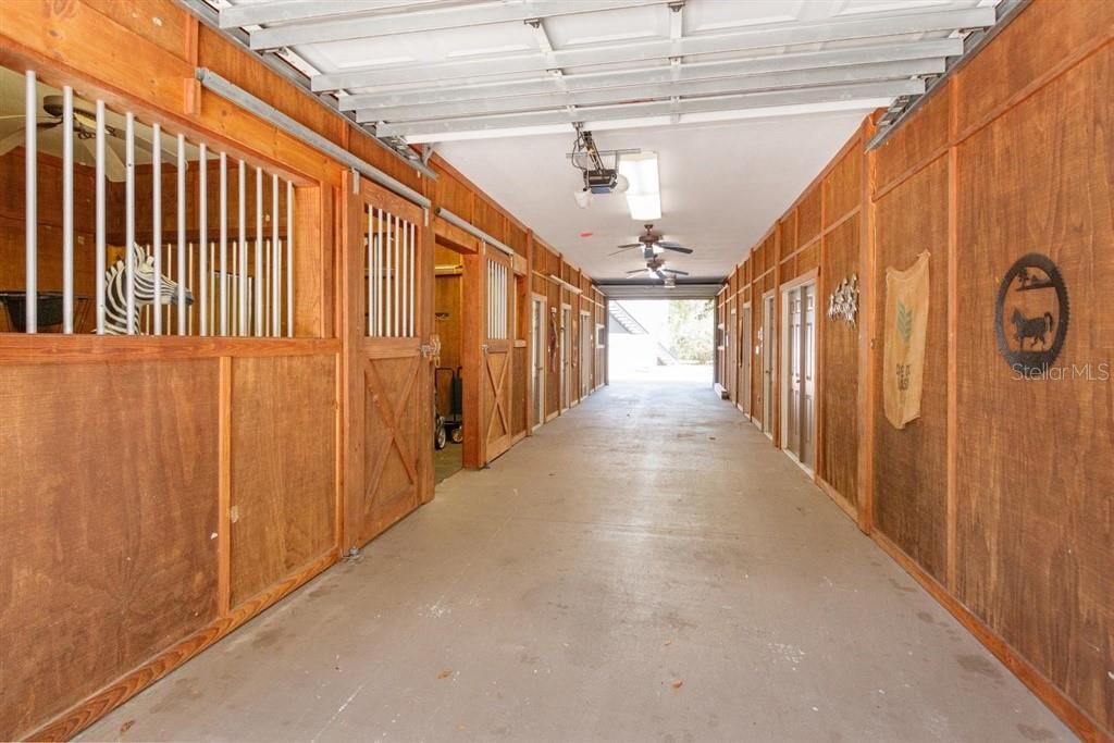 Stables Suite, left side has 2 stalls, and as you can see our imitation zebra is in the 1st one.