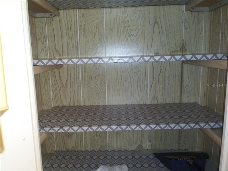 Closet pantry next to the refrigerator