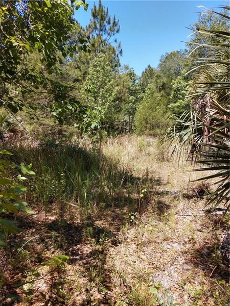 Recently Sold: $140,000 (5.00 acres)